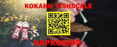 мдпв Жуковский