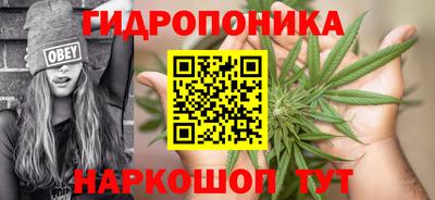 мдпв Жуковский