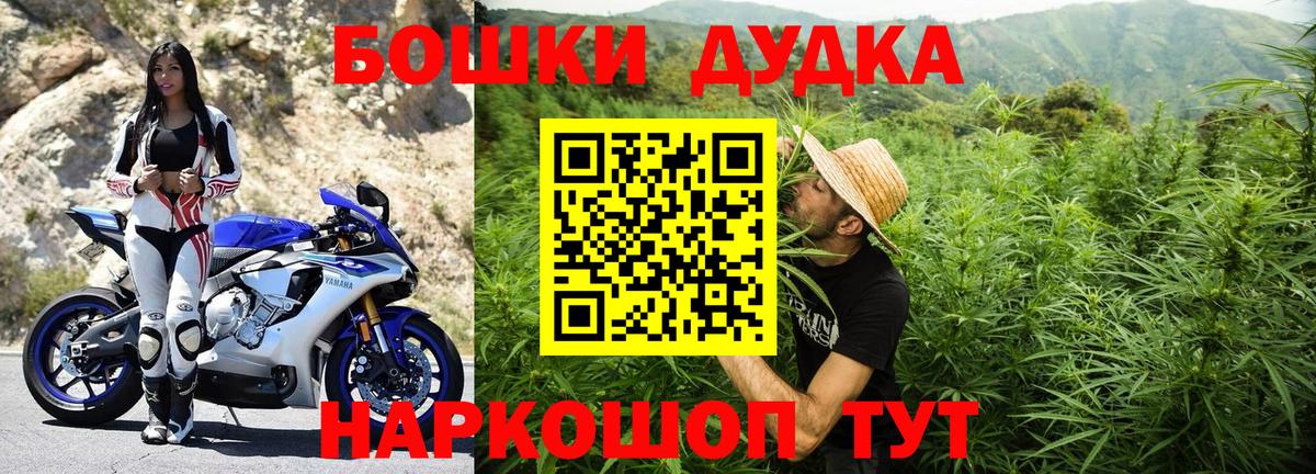 Канабис план  Бошки марихуана сатива  Луга  Конопля гибрид  Вход с VPN  МАРИХУАНА ГИДРОПОН 
